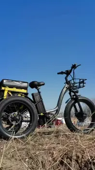 Elektrikli Bisiklet İmalatı 24 İnç Yağ Lastik 3 Tekerlekli Elektrikli Üç Tekerlekli Bisiklet Motosiklet LG batarya 500w-800w 15AH-- - 18AH