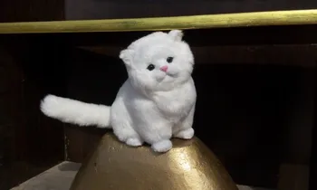 yeni simülasyon beyaz kedi polietilen ve kürk oturan kedi modeli hediye yaklaşık 24x17cm180